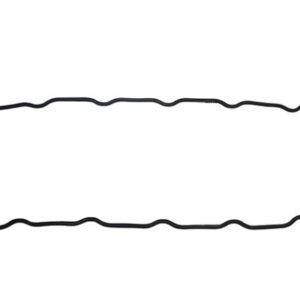 Ventilkåps packning